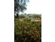 Nannup WA 6275