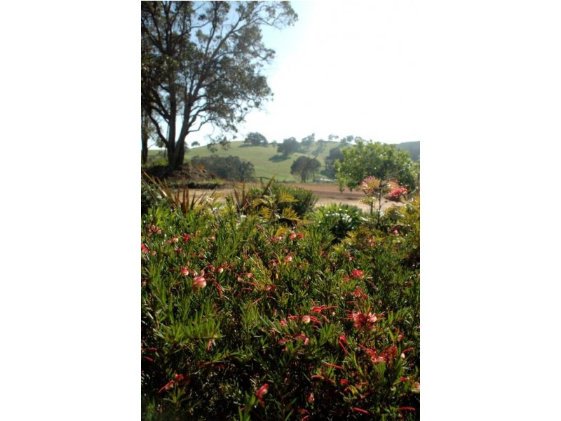 Nannup WA 6275
