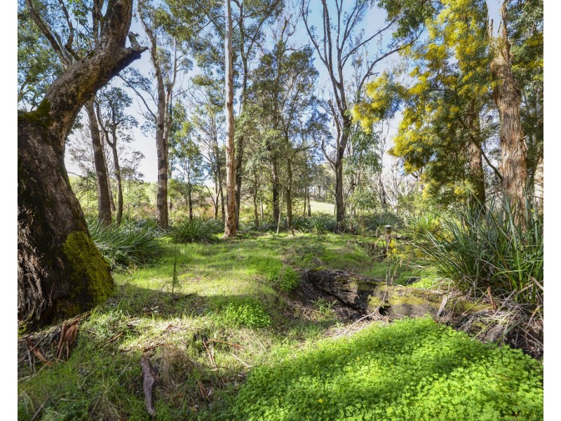 Lot 102 East Nannup Road, Nannup WA 6275