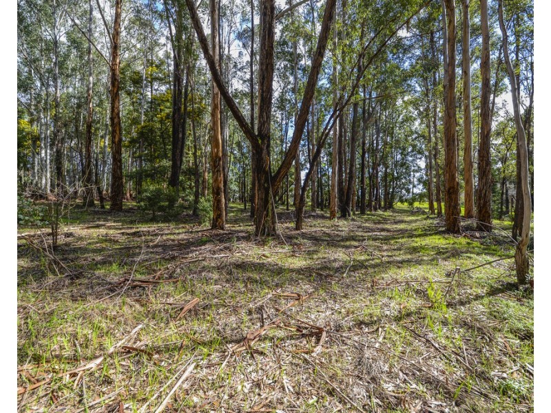 Lot 102 East Nannup Road, Nannup WA 6275