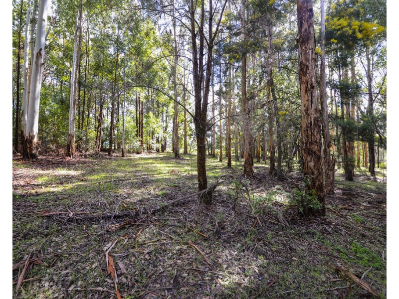 Lot 102 East Nannup Road, Nannup WA 6275