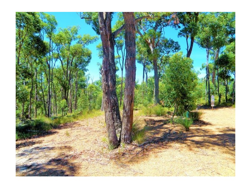 15 Widdeson Street, Nannup WA 6275