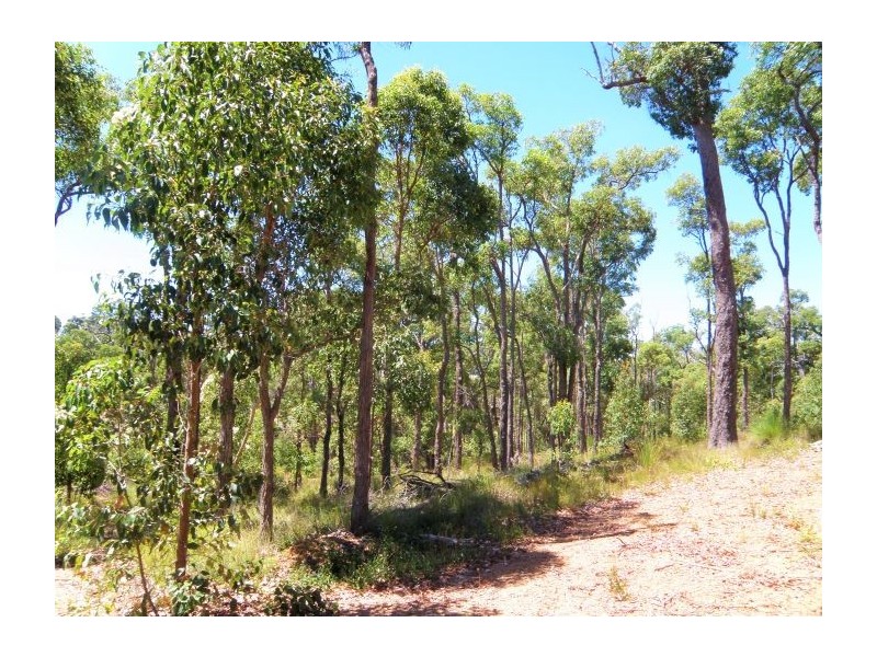 15 Widdeson Street, Nannup WA 6275