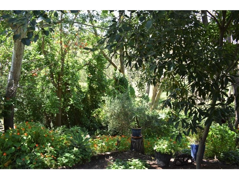 Lot 1 Warren Road, Nannup WA 6275