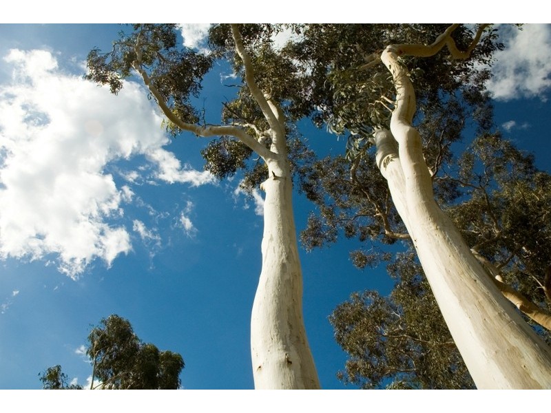Lots 30 – 50 Valley Way, Nannup WA 6275