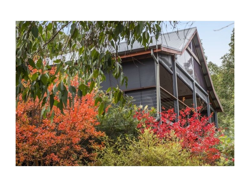 Lot 10 Denny Road, Nannup WA 6275
