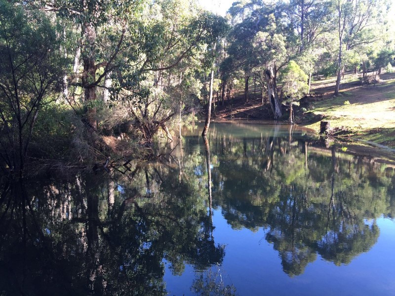 Lot 10 Denny Road, Nannup WA 6275