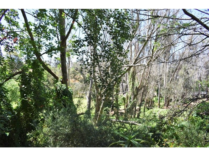 Lot 1 Warren Rd, Nannup WA 6275
