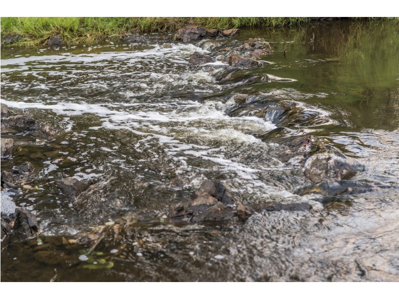 Lot 73 Balingup Road, Nannup WA 6275