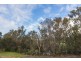 20 Melaleuca Place, Nannup WA 6275