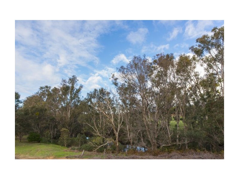 20 Melaleuca Place, Nannup WA 6275