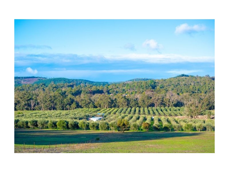 Lot 107 Dean Rd, Nannup WA 6275