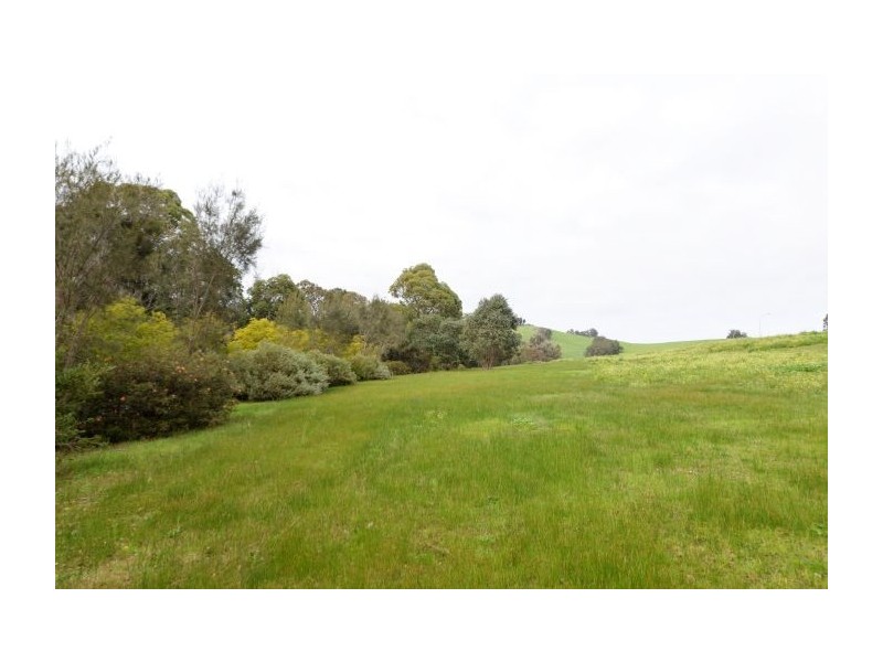 Lot 240 DIggers Grn, Nannup WA 6275