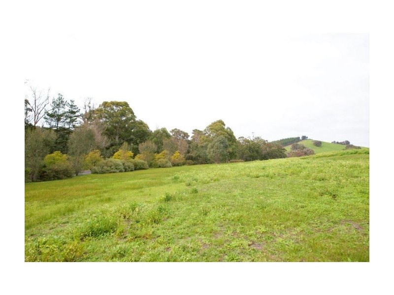 Lot 240 DIggers Grn, Nannup WA 6275