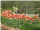 69 Roberts Road, Nannup WA 6275