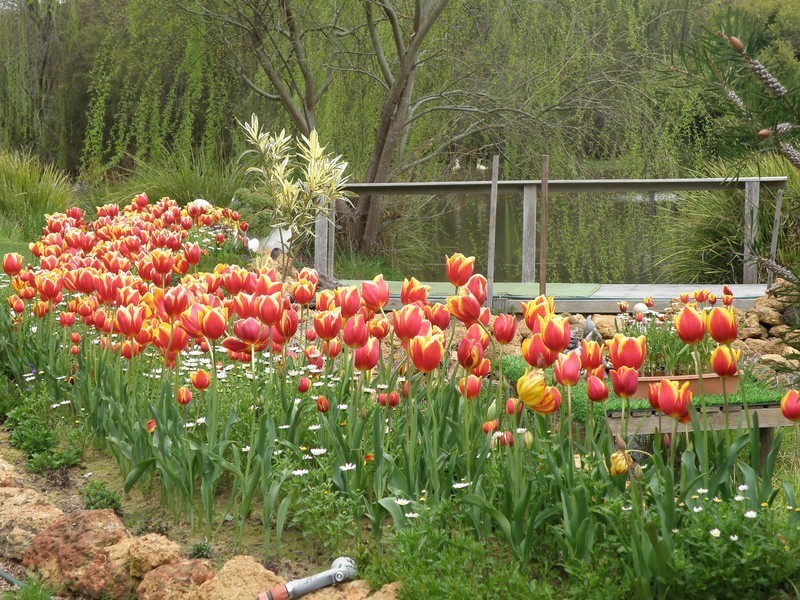 69 Roberts Road, Nannup WA 6275