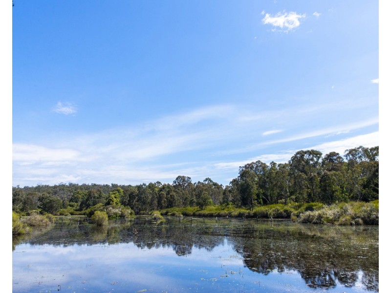 165 Poison Swamp Road, Nannup WA 6275
