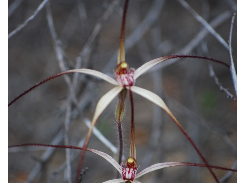 165 Poison Swamp Road, Nannup WA 6275