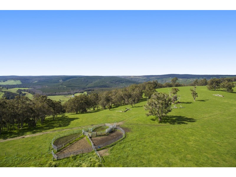 Nannup WA 6275