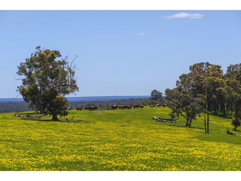 Nannup WA 6275