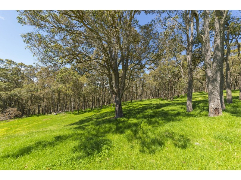 Nannup WA 6275