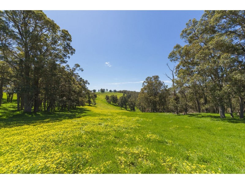 Nannup WA 6275