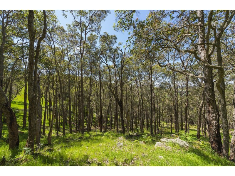 Nannup WA 6275