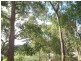 304 Widdeson Street, Nannup WA 6275