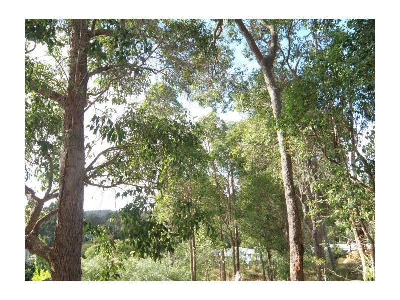 304 Widdeson Street, Nannup WA 6275