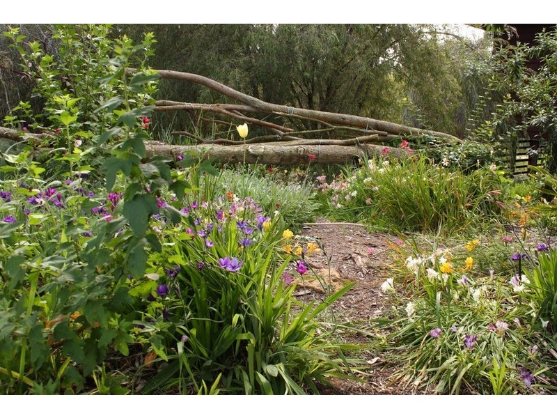 Lot 41 Blackwood River Drive, Nannup WA 6275