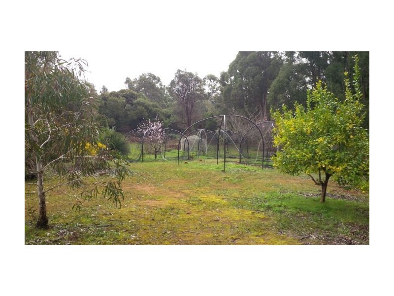Nannup WA 6275