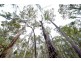 Nannup WA 6275
