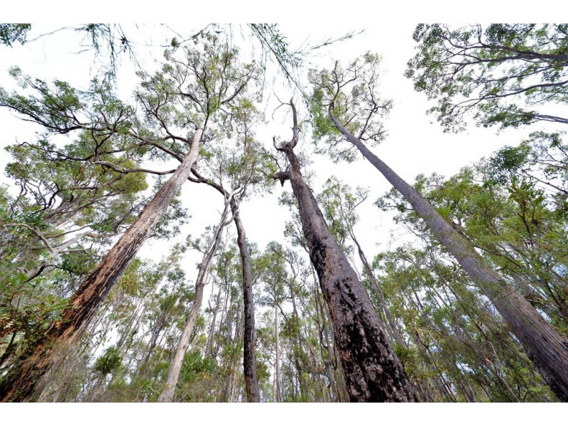 Nannup WA 6275