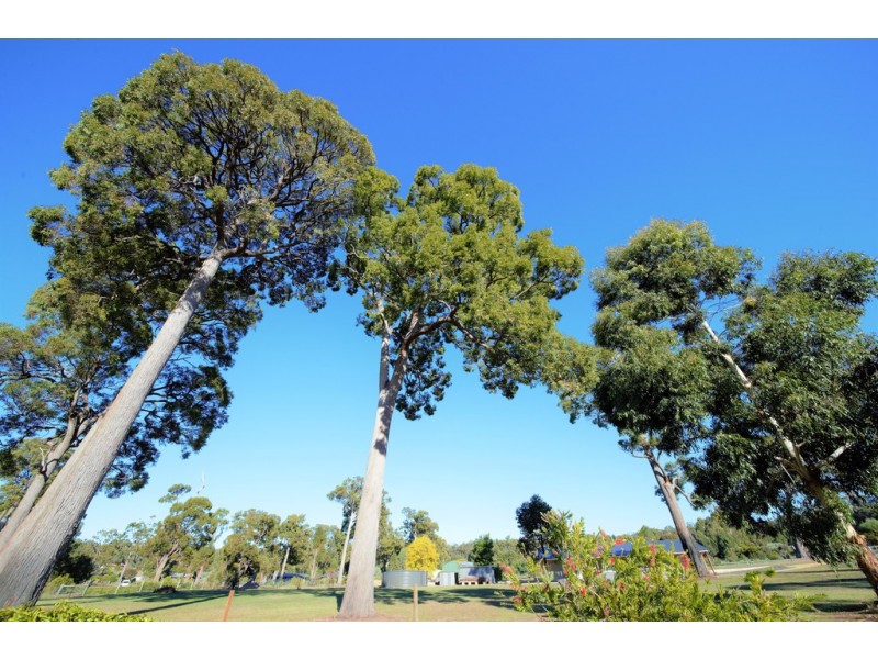 6 Redtail Ramble, Nannup WA 6275