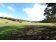 Nannup WA 6275
