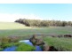 Nannup WA 6275