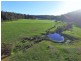 Nannup WA 6275