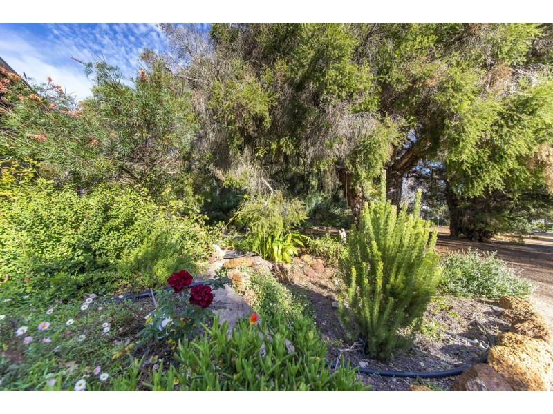 121 Warren Road, Nannup WA 6275