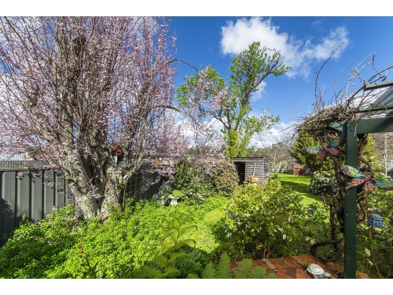 31 Kearney Street, Nannup WA 6275