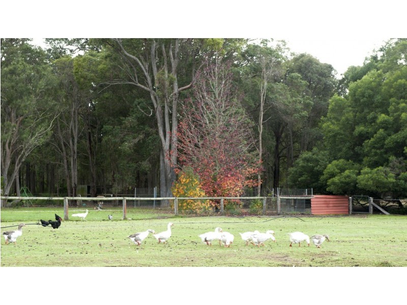 Lot 4027 Barrabup Road, Nannup WA 6275