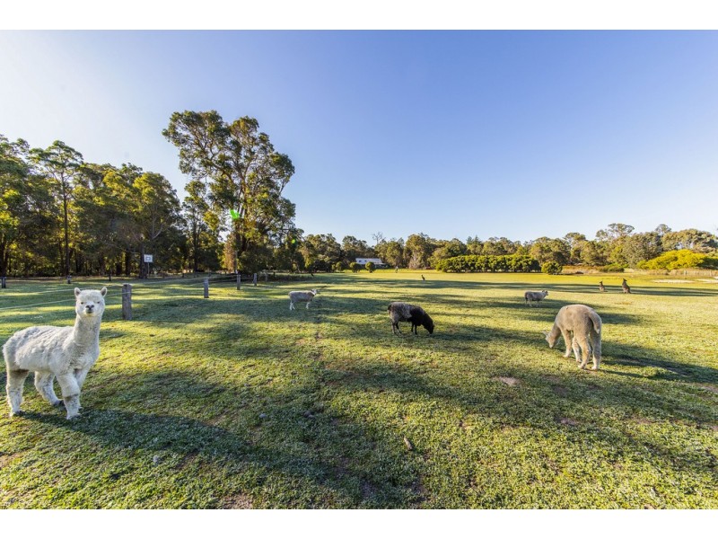 Lot 4027 Barrabup Road, Nannup WA 6275