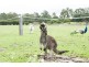 Lot 4027 Barrabup Road, Nannup WA 6275