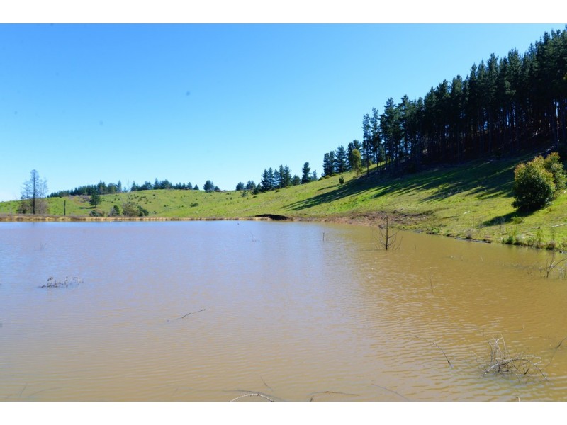 11 Brockman Highway, Nannup WA 6275