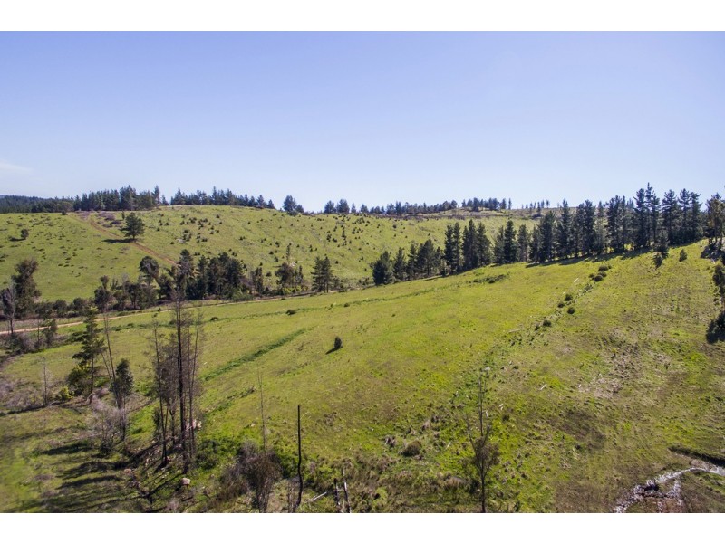 11 Brockman Highway, Nannup WA 6275