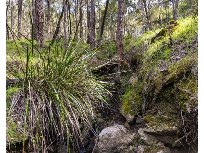 270 Boundary Rd, Nannup WA 6275
