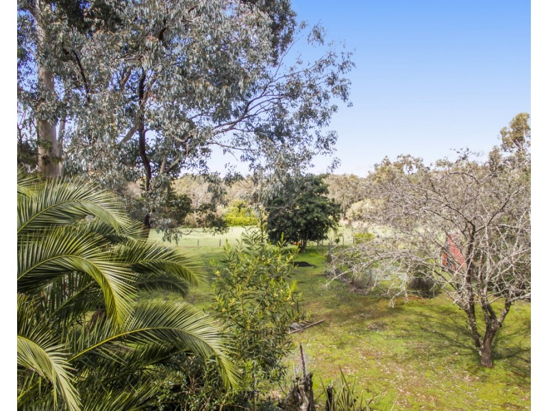 98 Johnston Road, Nannup WA 6275