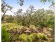 98 Johnston Road, Nannup WA 6275