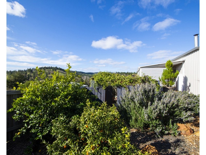 21 Hitchcock Drive, Nannup WA 6275