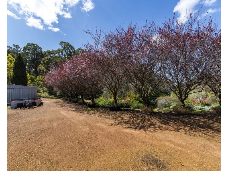 39 Balinga Drv, Balingup WA 6253