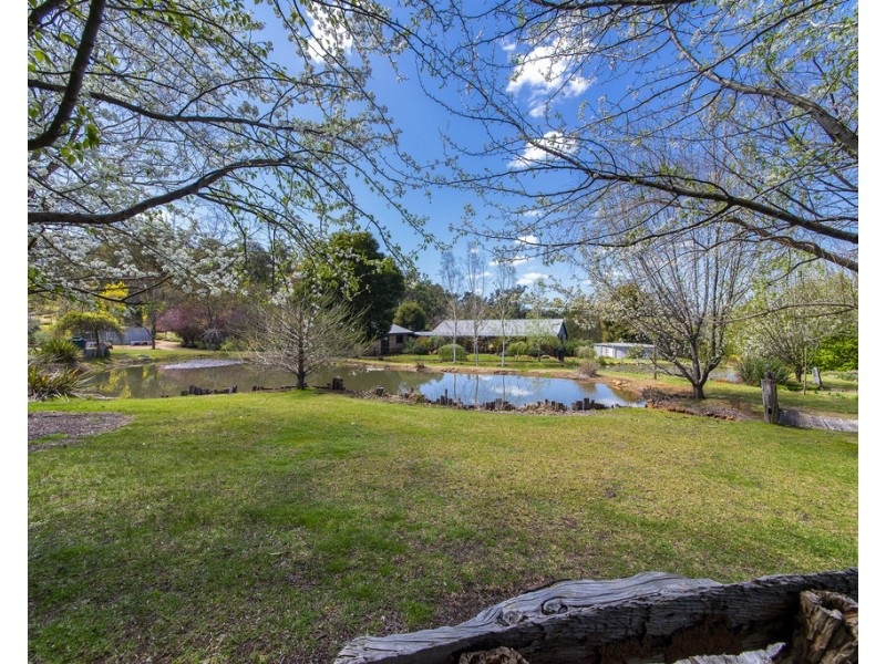 39 Balinga Drive, Balingup WA 6253